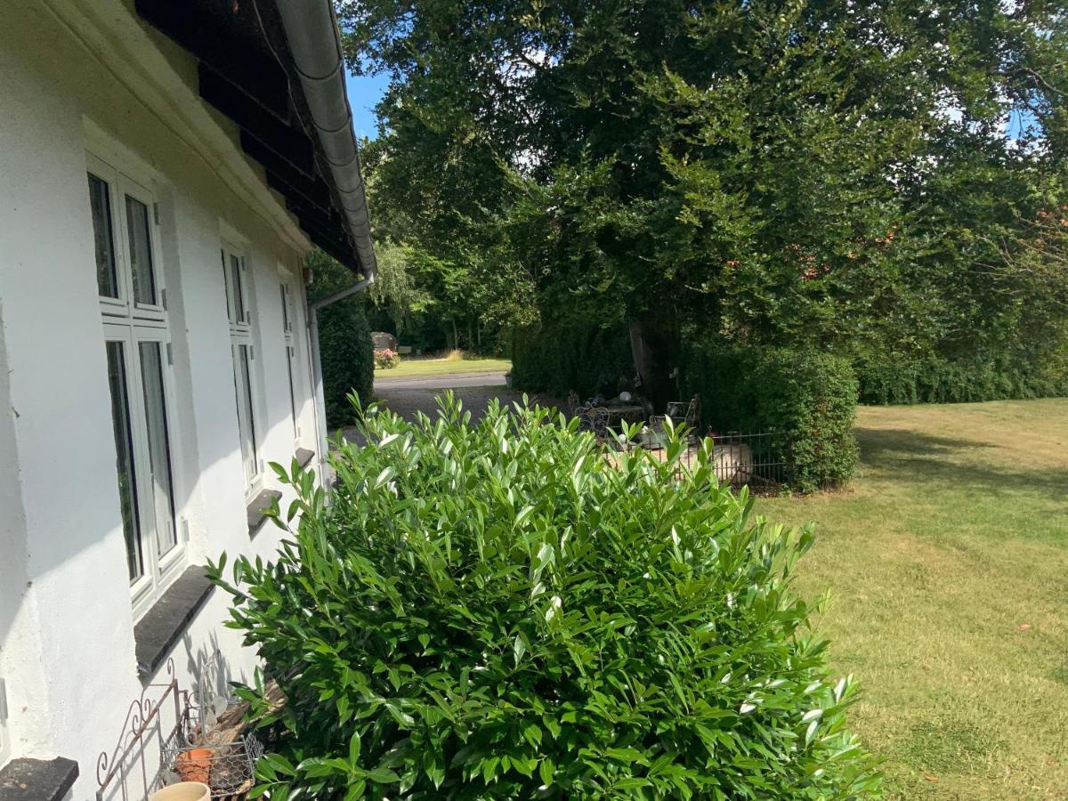 Den Gamle Apotekergaard Panzió Hong Kültér fotó