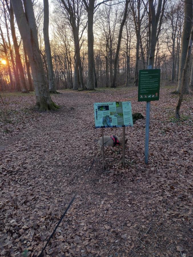 Den Gamle Apotekergaard Panzió Hong Kültér fotó